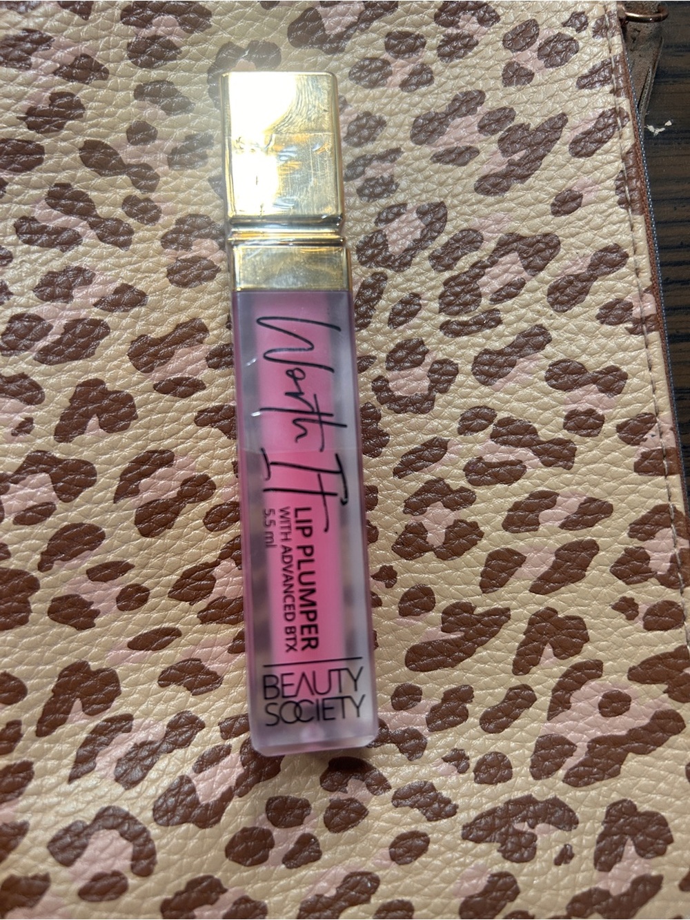 Beauty Society North Fit Lip Plumper — Sheer Mauve Pink Hydrating Gloss